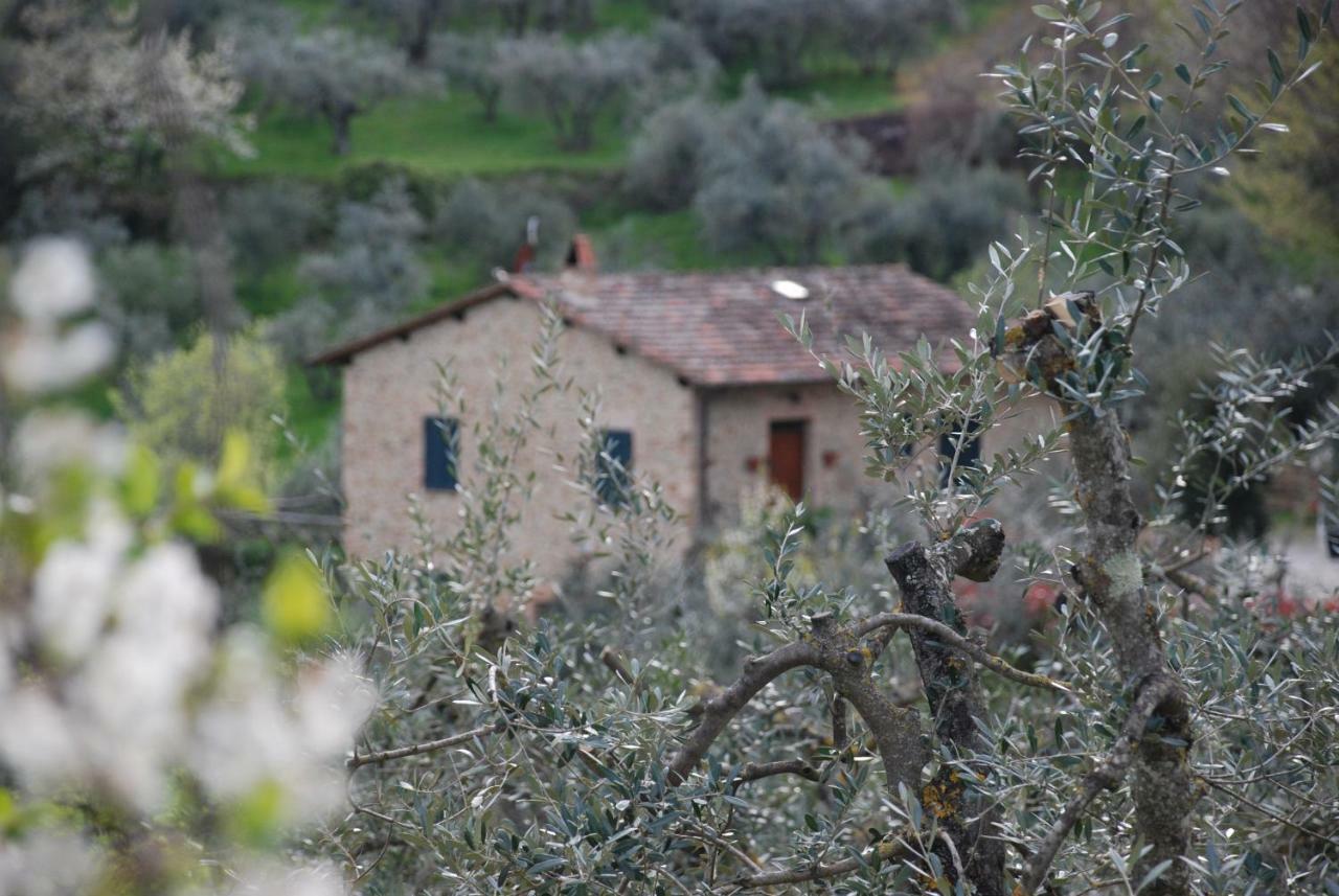 Le Corolline Villa Indipendente Uso Esclusivo Montepulciano Stazione Exterior foto