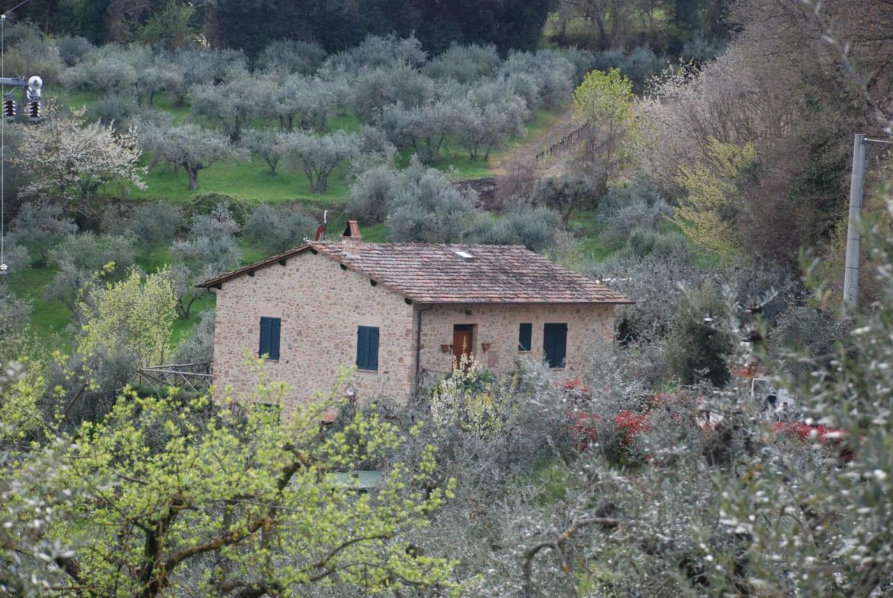 Le Corolline Villa Indipendente Uso Esclusivo Montepulciano Stazione Exterior foto